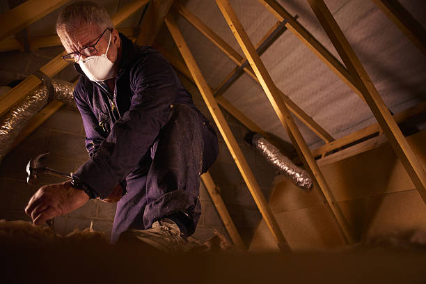 Best Insulation Installation Services in Sunbury, PA